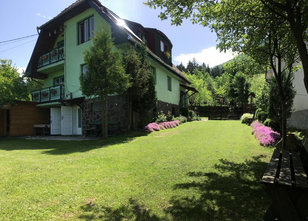 Pensiunea Panorama BaileTusnad Dış mekan fotoğraf