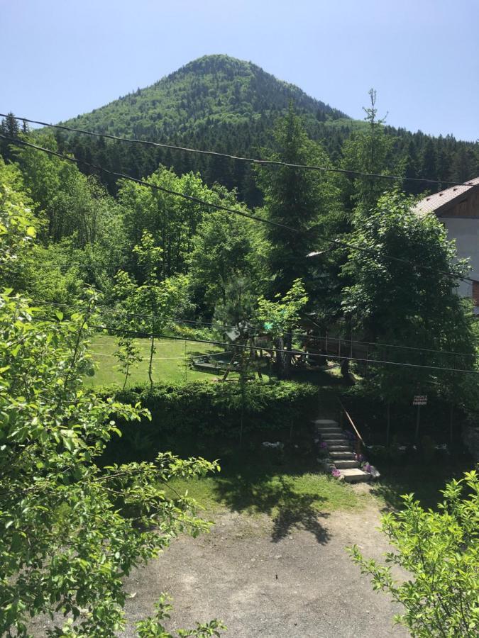 Pensiunea Panorama BaileTusnad Dış mekan fotoğraf