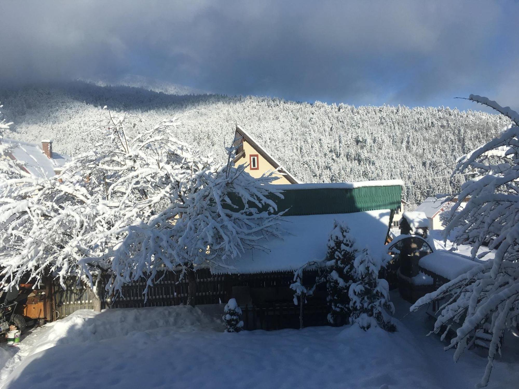 Pensiunea Panorama BaileTusnad Dış mekan fotoğraf